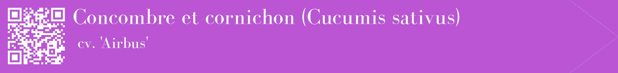 étiquette 2