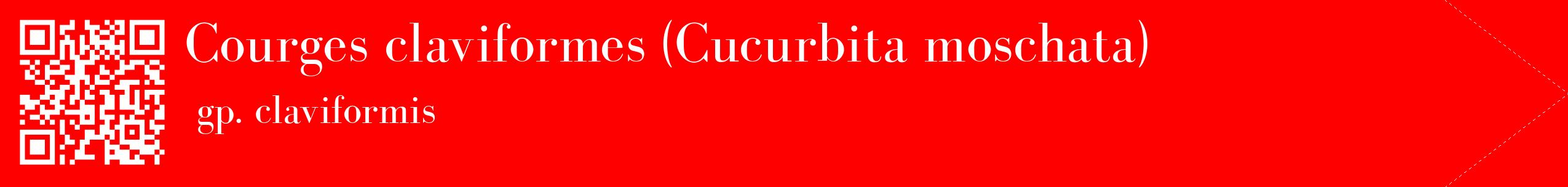 étiquette 2