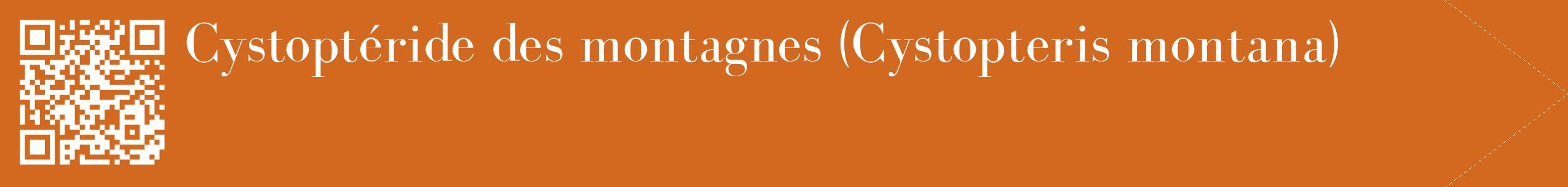 étiquette 2