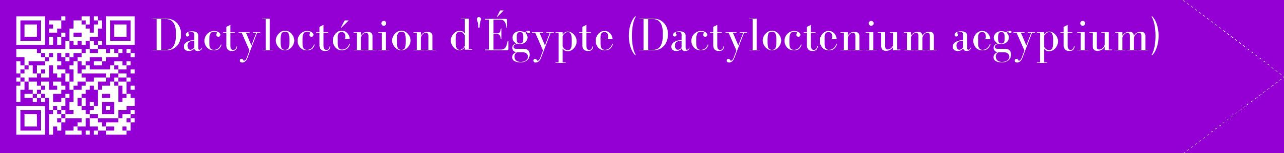 étiquette 2