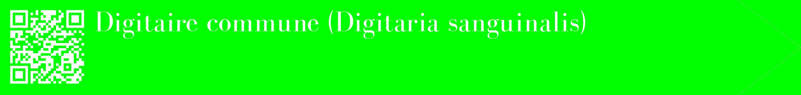 étiquette 2