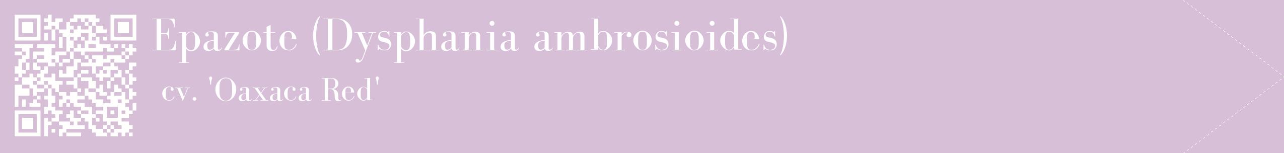 étiquette 2