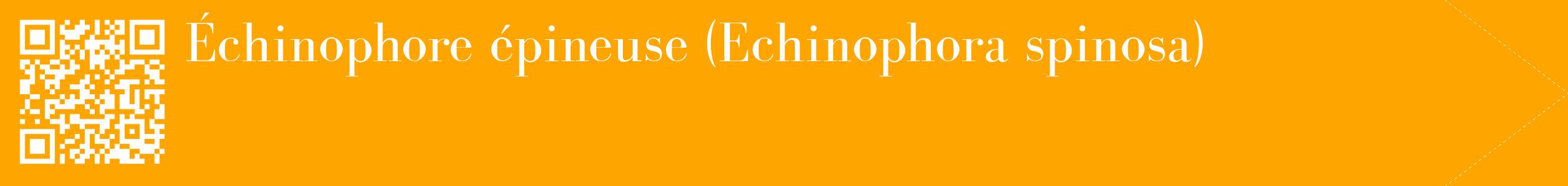 étiquette 2