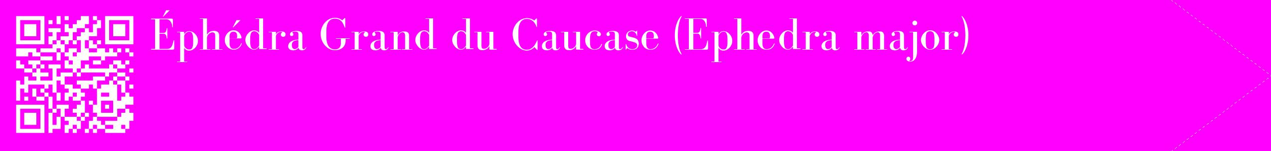 étiquette 2
