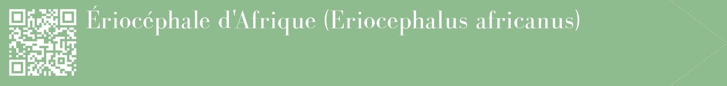 étiquette 2