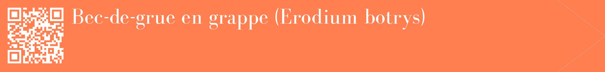 étiquette 2