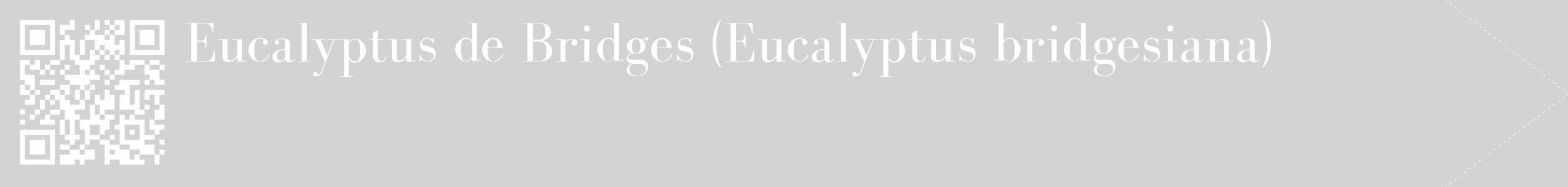 étiquette 2