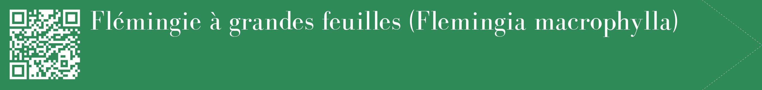 étiquette 2