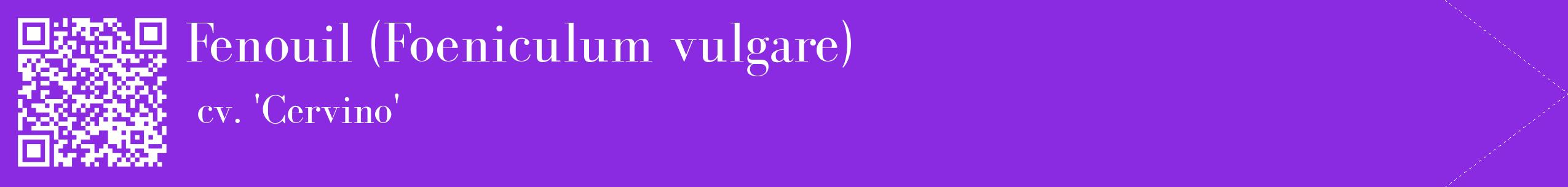 étiquette 2