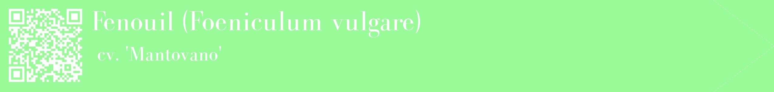 étiquette 2