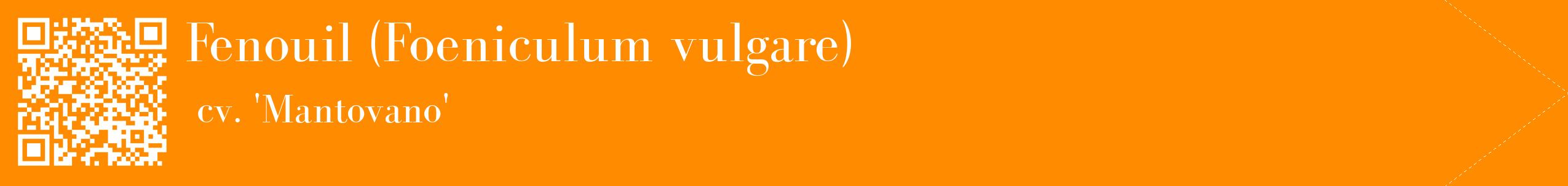 étiquette 2