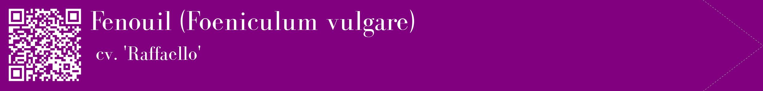 étiquette 2