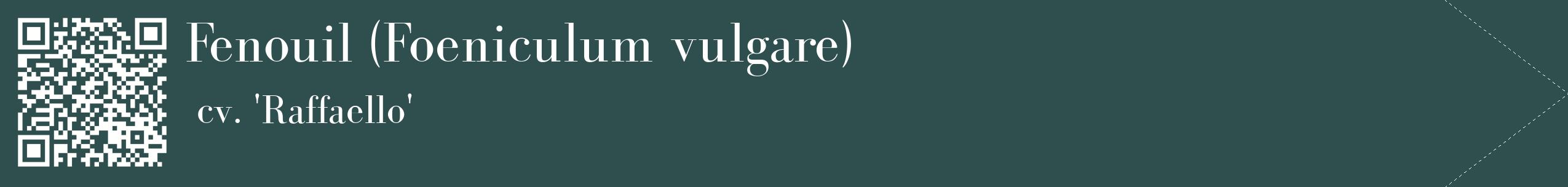 étiquette 2