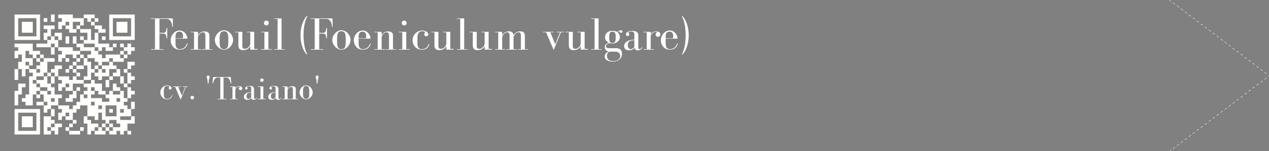 étiquette 2