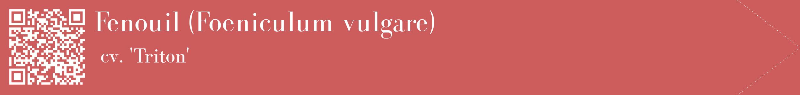 étiquette 2