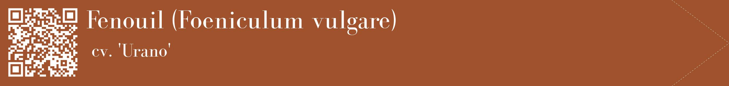 étiquette 2