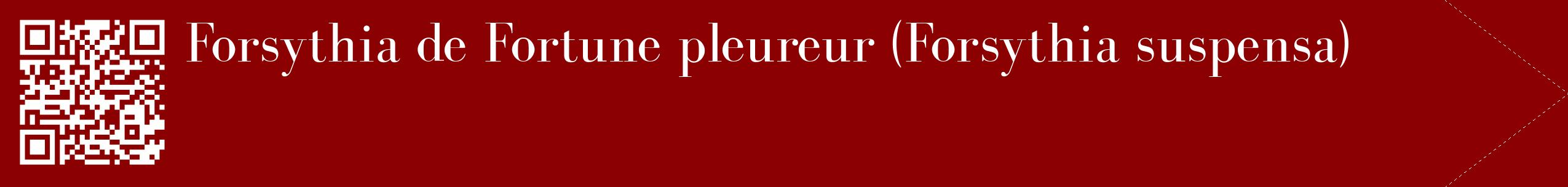 étiquette 2