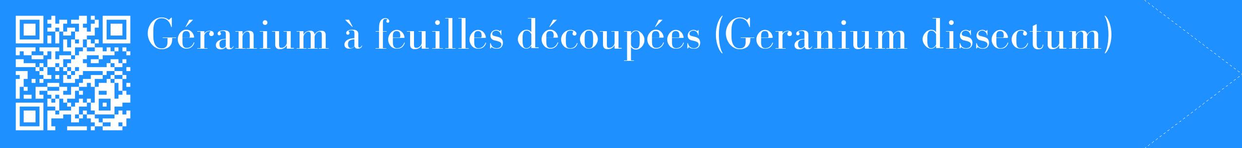 étiquette 2