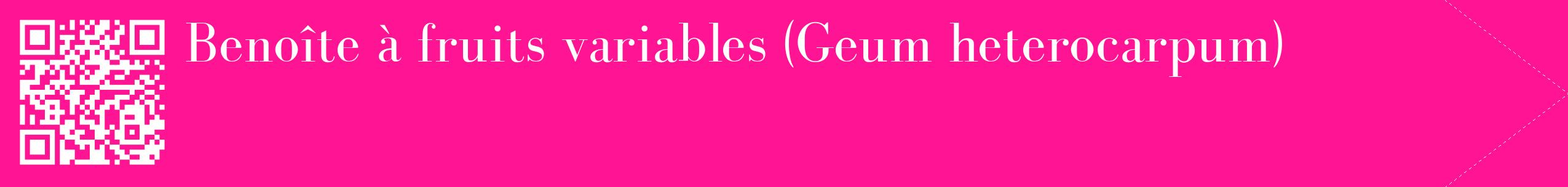 étiquette 2