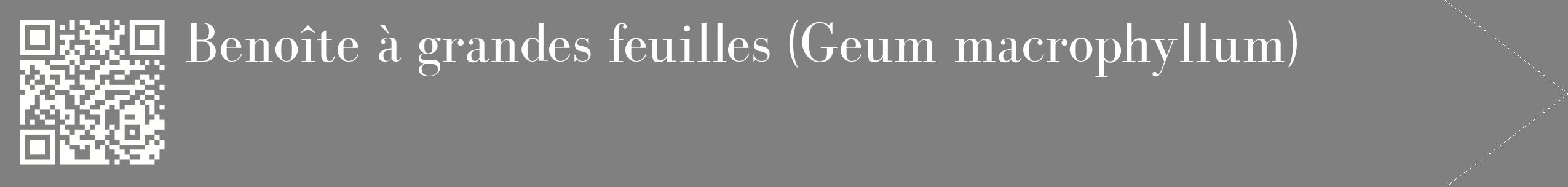 étiquette 2