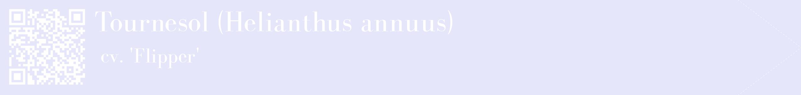 étiquette 2