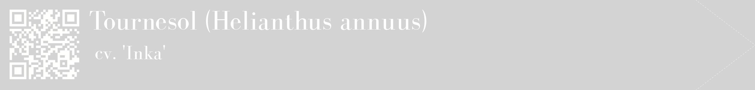 étiquette 2