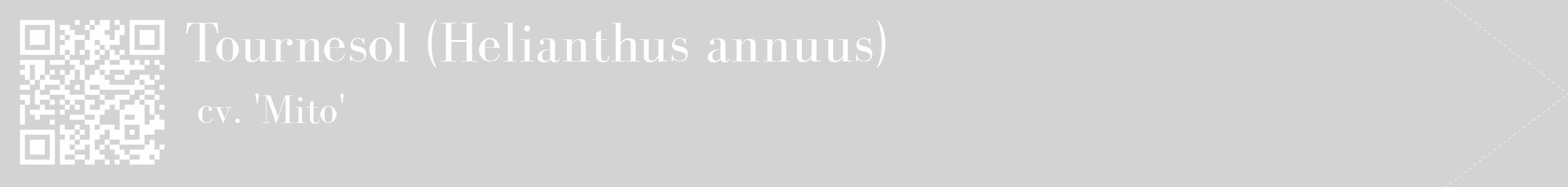 étiquette 2