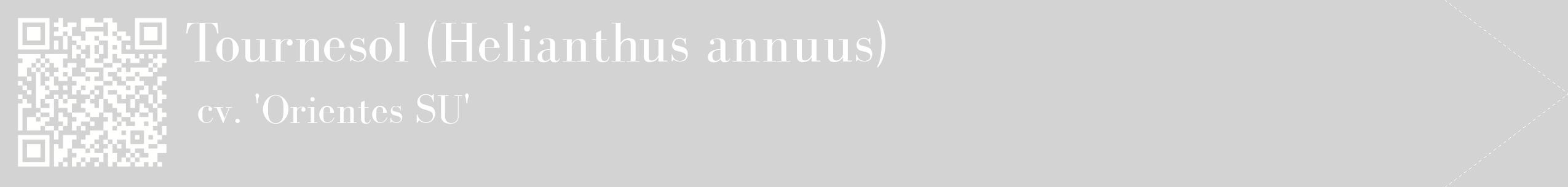 étiquette 2