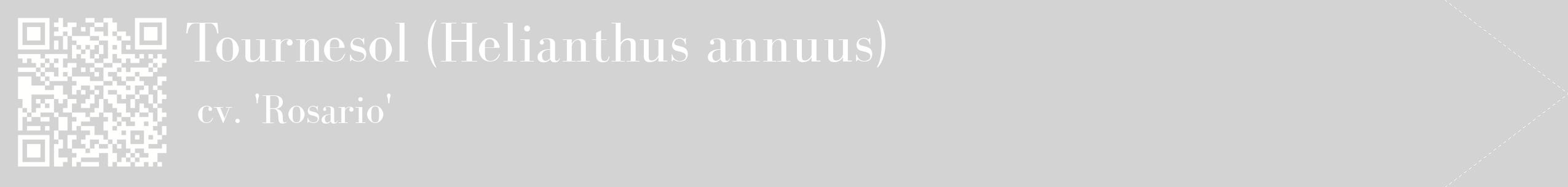 étiquette 2