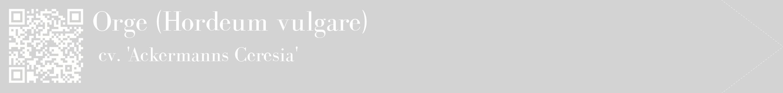 étiquette 2