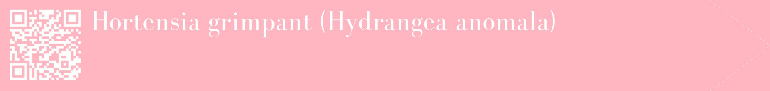 étiquette 2