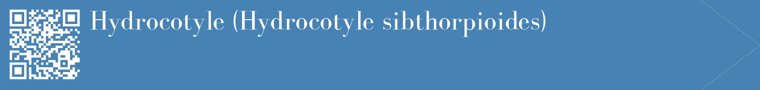 étiquette 2