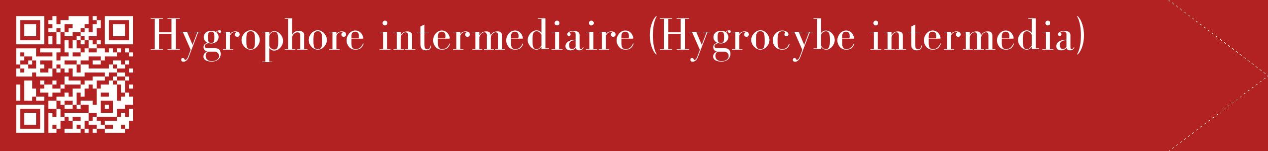 étiquette 2