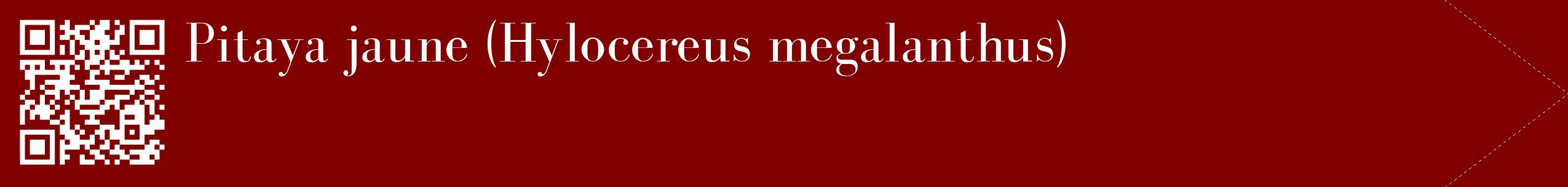étiquette 2