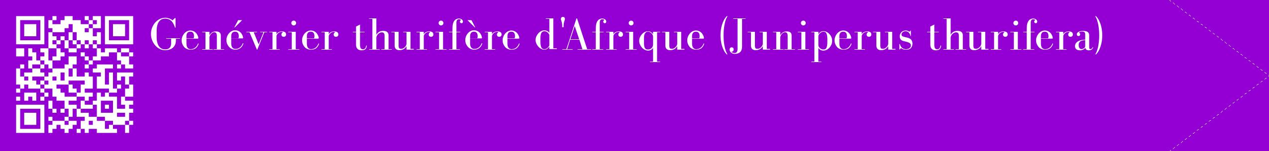 étiquette 2