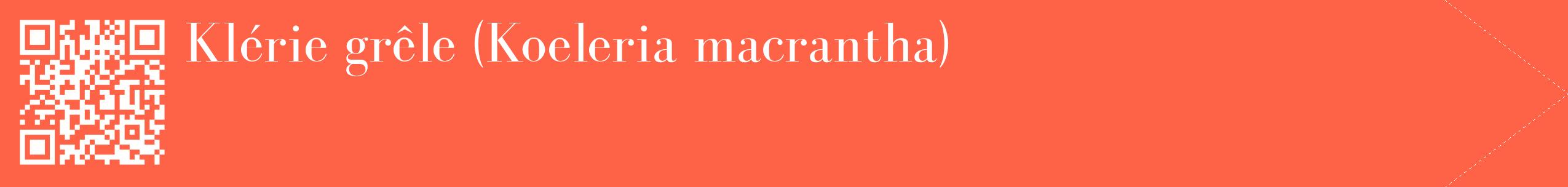 étiquette 2