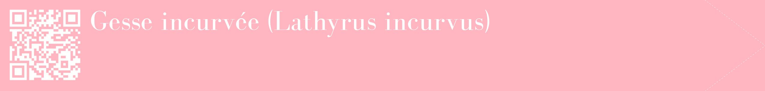 étiquette 2