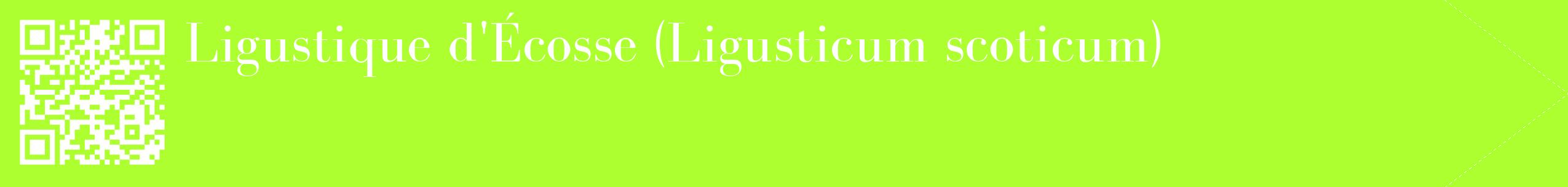étiquette 2