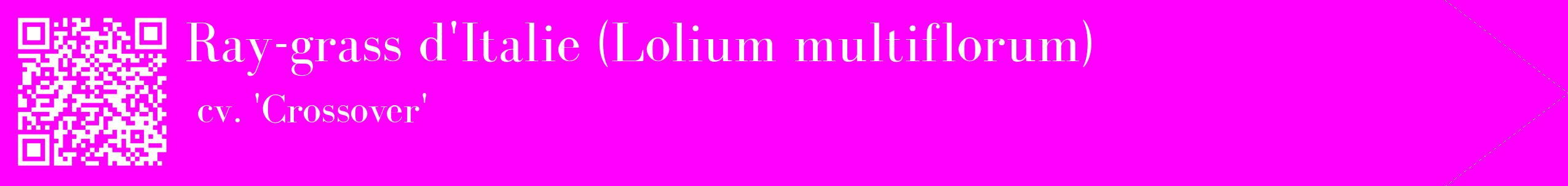 étiquette 2