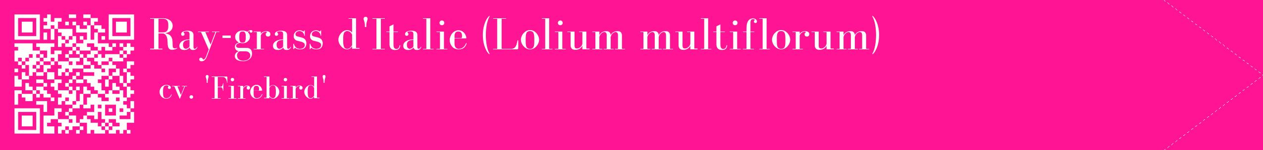 étiquette 2