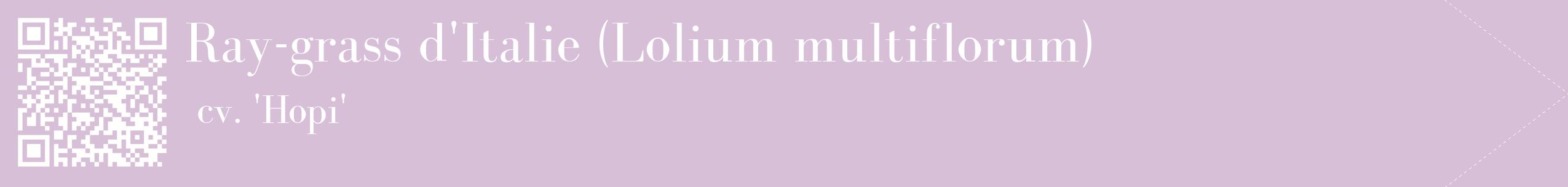 étiquette 2