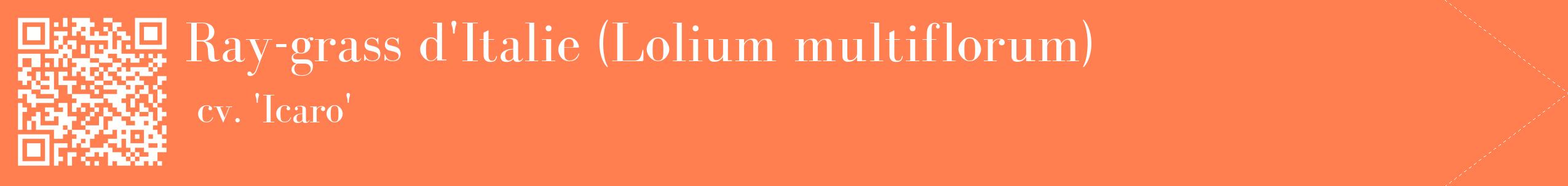 étiquette 2