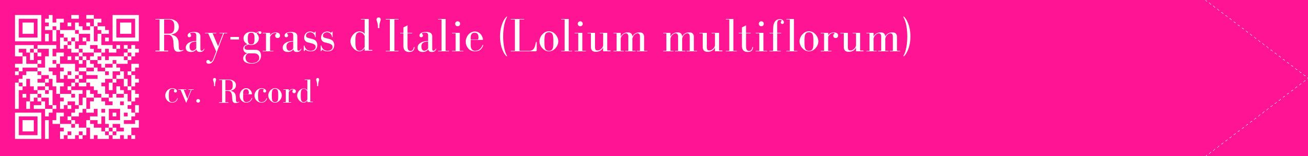 étiquette 2