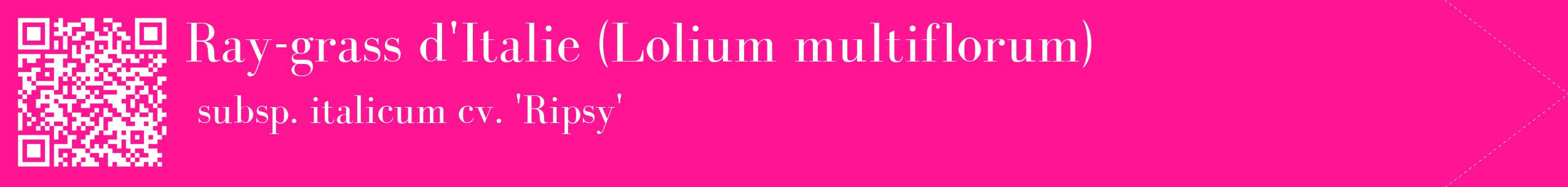 étiquette 2