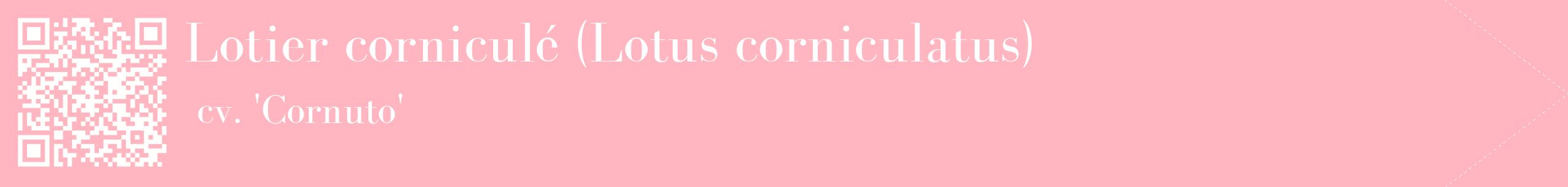 étiquette 2