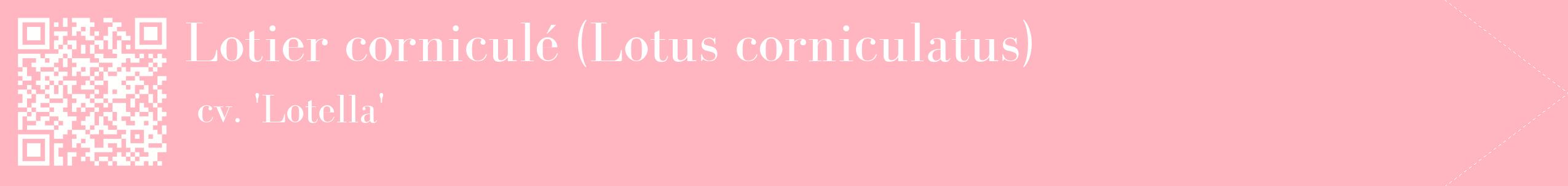 étiquette 2