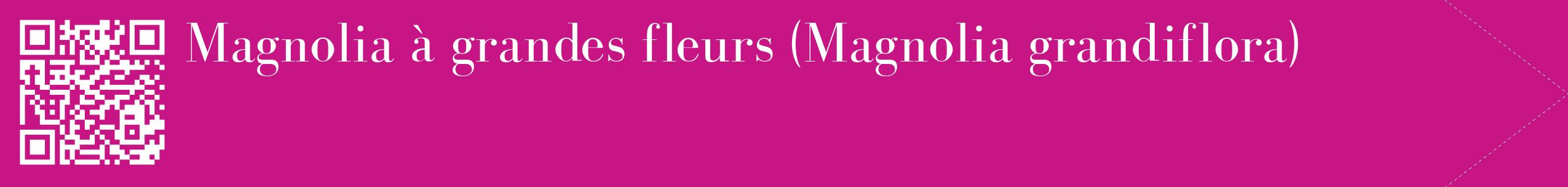 étiquette 2