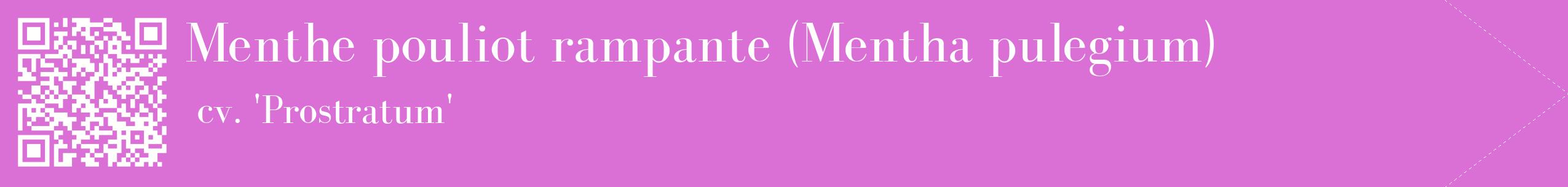 étiquette 2