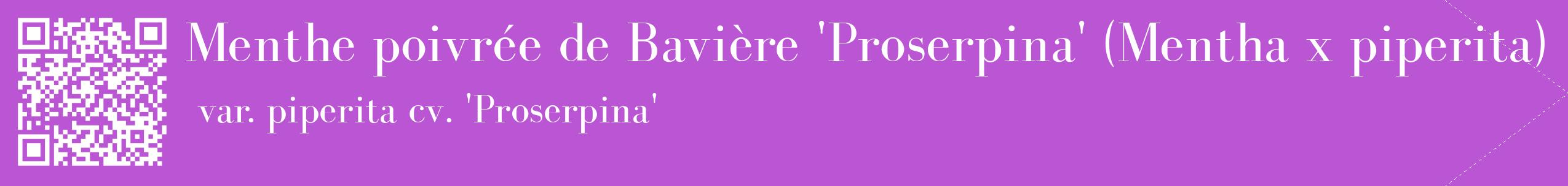 étiquette 2