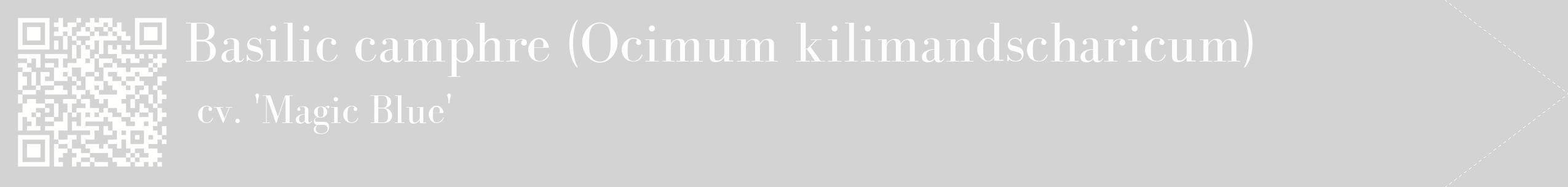 étiquette 2